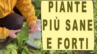 SALUTE DELLE PIANTE - metodo BIO