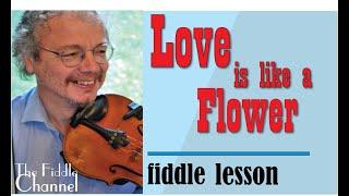 Love is like a flower (fiddle lesson)