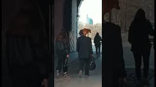 Собака на плече. Наблюдение в Питере#прикол#собака#животные#смешныеживотные