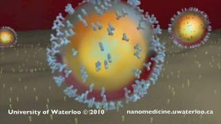 Nanotechnology for Targeted Cancer Therapy