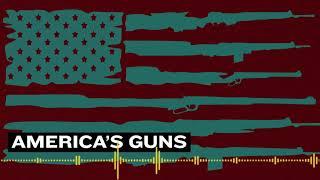 America’s Guns