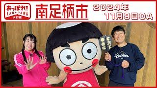 あっぱれ！KANAGAWA大行進 2024年11月9日放送　南足柄市