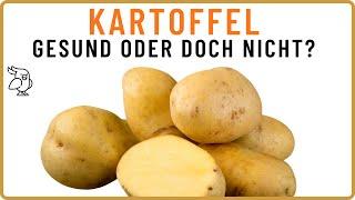 KARTOFFEL WIRKUNG Wie gesund ist die Kartoffel wirklich? Dickmacher oder Superheldin?