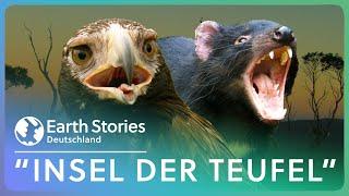 Tasmanien: Außergewöhnliche Tiere & endlose Wildnis | Earth Stories Deutschland