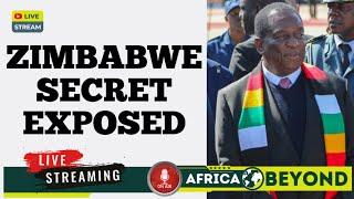 Top secret about Zimbabweans interest in South Africa exposed