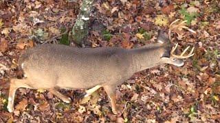 Reading Topo Maps for Deer Stand Strategies