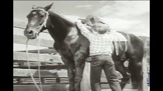 Movie Kids series   -  1955 :    Bobby Diamond  in "Fury", TV series...