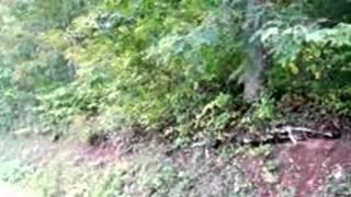 Homes for Sale - Par 46 Culbertson Branch Road - Nicklesville, VA 24271 - Louis Shelton