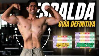 Entrenamiento de ESPALDA Simplificado (De Novato a Avanzado)