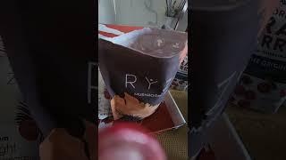 ryze coffee testing