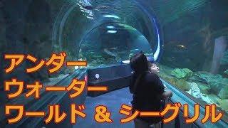 グアムのアンダーウォーターワールド & シーグリルに行ったよ！【家族でグアム旅行】