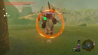 Clean way to beat Lynels (Legend of Zelda TOTK)