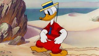 Beach Picnic | A Classic Mickey Cartoon | Have A Laugh