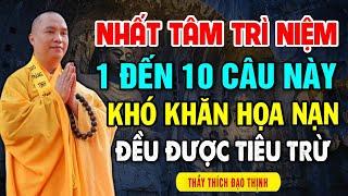 Nhất tâm trì niệm 1 đến 10 câu này mọi khó khăn họa nạn đều được tiêu trừ - Thầy Thích Đạo Thịnh