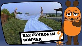 Bauernhof-Sommer