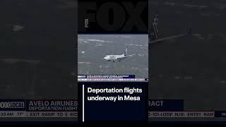 Deportation flights have begun in Mesa | FOX 10 Phoenix