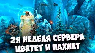 2Я НЕДЕЛЯ СЕРВЕРА НА НОВОМ СЕРВЕРЕ SUNSHINE WORLD В PERFECT WORLD 2024