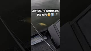 Einschlag vorm Boot  #angeln #fishing #fishingvideo #hechtangeln #ladyangler #hecht #baitcaster
