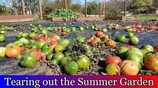 Tearing out the Summer Garden and Potato Harvest