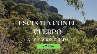 10 min Regula tu Sistema Nervioso | Meditación Escaneo Corporal