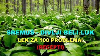 SREMUŠ - DIVLJI BELI LUK - LEK Za 100 PROBLEMA! (RECEPTI)