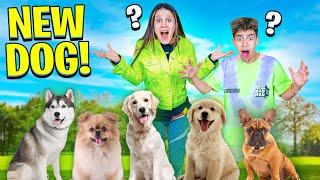 Picking a NEW DOG! *Emotional*