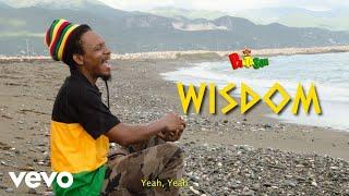 Nature Ellis, Panta Son - Wisdom (Official Music Video)