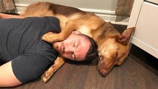 When your dog is your most trusted friend  - Funny Dog and Human Video 2024