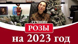 РОЗОВЫЕ МЕЧТЫ выбираем розы на сезон 2023