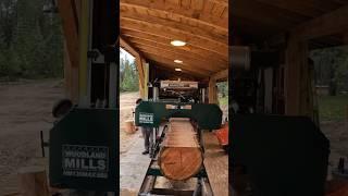 More Milling - A Log Burned In A Forest Fire #sawmill #mill #youtubeshorts #youtube #shorts #short