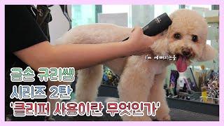 클리퍼 어떻게 써야할지 모르겠다면? 슬리커, 콤, 바리깡 사용의 모든방법 pet grooming, self grooming, dog, cat, clipper, selfcare