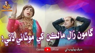 Gamoo Zaal Malkan Khay Motaye Dini | Asif Pahore (Gamoo) | Zakir Shaikh