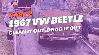 Abandoned 1967 Beetle, Part 2: Clean it out, drag it out