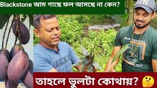 অনন্যা নার্সারী র বারুনবাবুর থেকে জেনে নেব , Blakstone mango / কালো আম গাছে ফল না আসার কারন ?