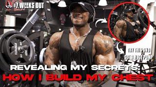 Revealing My Secrets: Chest day aka Bae Pillow day