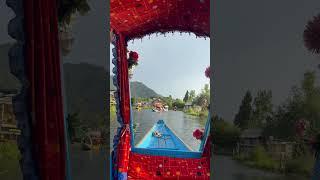 Sunset Shikara ride Dal Lake #song #youtubeshorts #viral #kashmir #love #peace