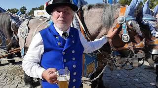 Das Hofbräu Prachtgespann beim Sommer in der Stadt auf dem Königsplatz