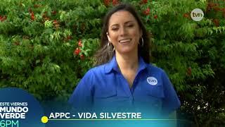 Rescate de la Vida Silvestre, @appcpanama en TVN Canal 2, Mundo Verde