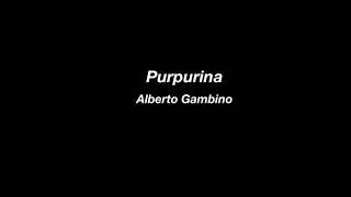 Purpurina | Alberto Gambino | Lyrics