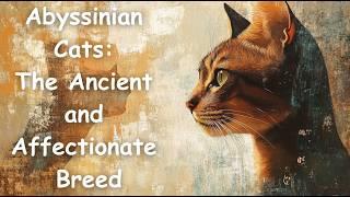 Abyssinian Cats: The Ancient and Affectionate Breed - English