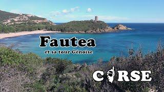 CORSE : TOUR GENOISE DE FAUTEA