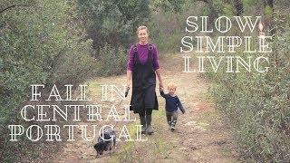 Fall in Central Portugal - Living the simple life in the Portuguese countryside
