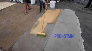 Proline's Pro-Stain WB Stain