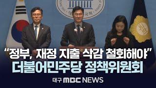 “정부, 재정 지출 삭감 철회해야” 더불어민주당 정책위원회 | 대구MBC 2024년 10월 28일