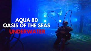 Royal Caribbean Oasis of the Seas - Aqua Theatre: Aqua 80 (Underwater)