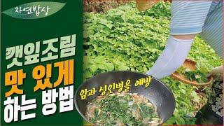 도탈남의 시골밥상] 깻잎조림 맛있게 만드는 법, 아주 쉽게 구할 수 있는 깻잎 조림. 암과 성인병이 예방 된다는데...