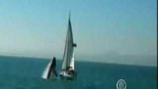 Caught On Tape: Whale Crashes on Boat