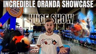 Philippines Goldfish show | Goldfish COMPETITION | HIGH QUALITY |  @RogenFishloverAdventureVlogs