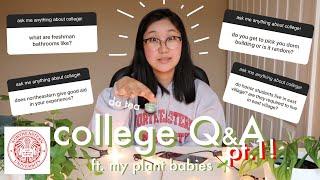  northeastern university Q&A pt. 1 | college stats, applying to northeastern, college Q&A, & more 