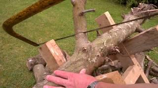 Getting Exercise Cutting Logs With a Bow Saw